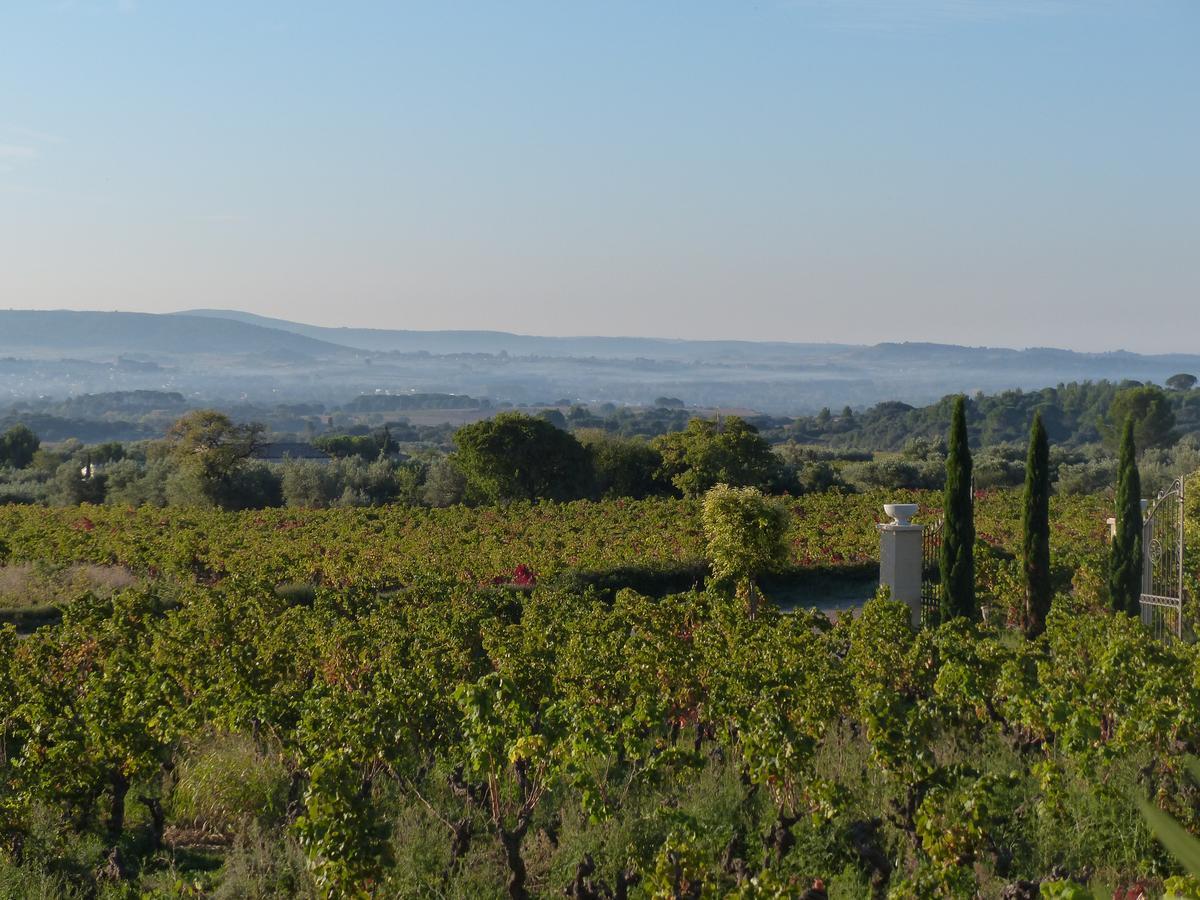 Chateau De Valloubiere-Gite Saint-Jean-de-Fos Eksteriør billede