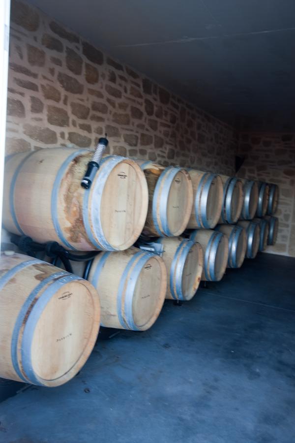 Chateau De Valloubiere-Gite Saint-Jean-de-Fos Eksteriør billede